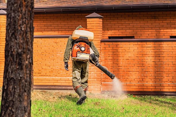 Trusted Fumigation Services service in Santa Nella, CA - Nex Pest Control